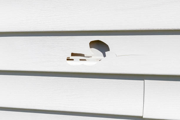 Best Same-Day Junk Removal Services  in Greenwood, PA